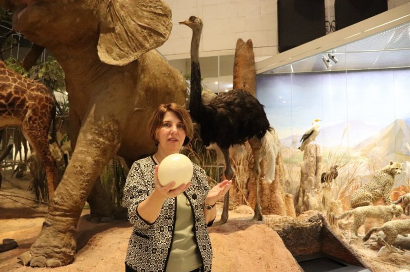 Видеоэкскурсия «Заботливые отцы» в Дарвиновском музее – события на сайте «Московские Сезоны»