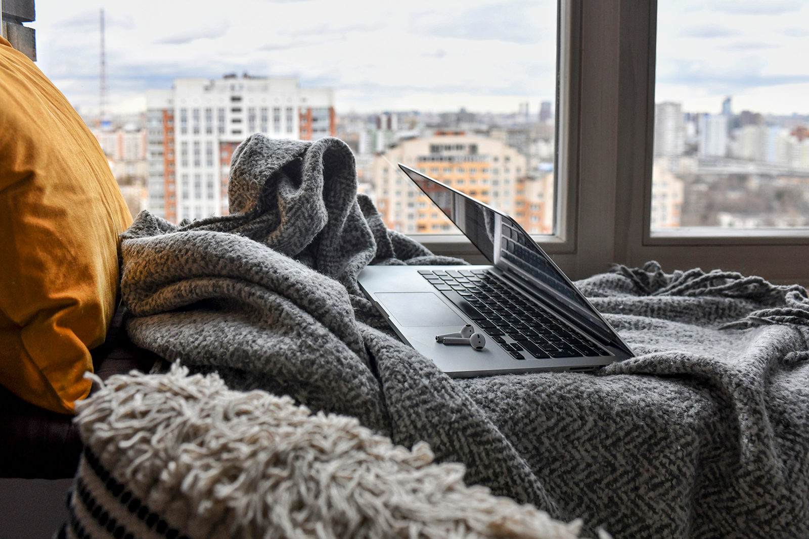 Новости науки и искусства на YouTube-канале Государственного Дарвиновского музея – события на сайте «Московские Сезоны»