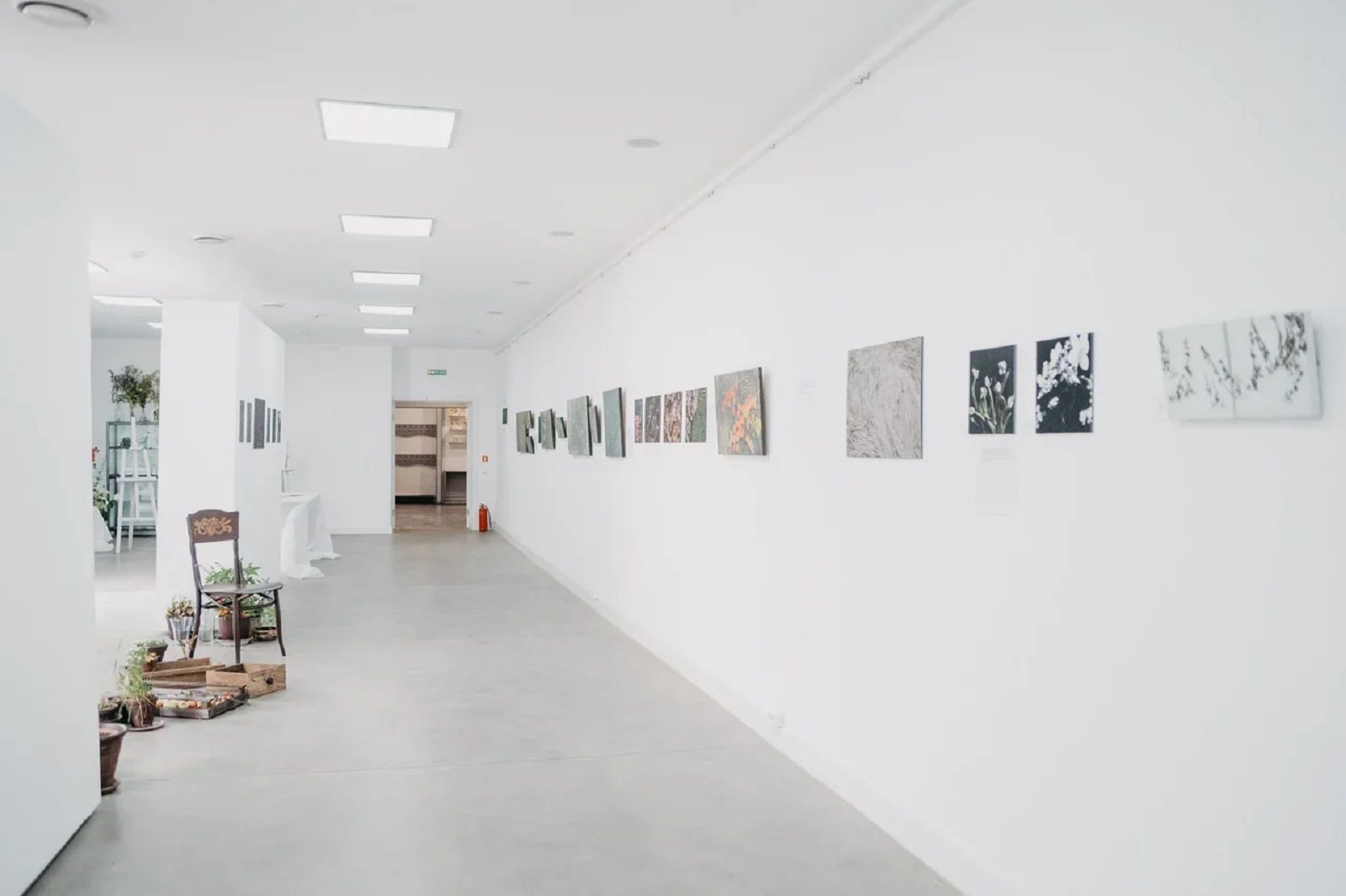 Домашний спектакль в галерее «Солнцево» (онлайн-показ) – события на сайте «Московские Сезоны»