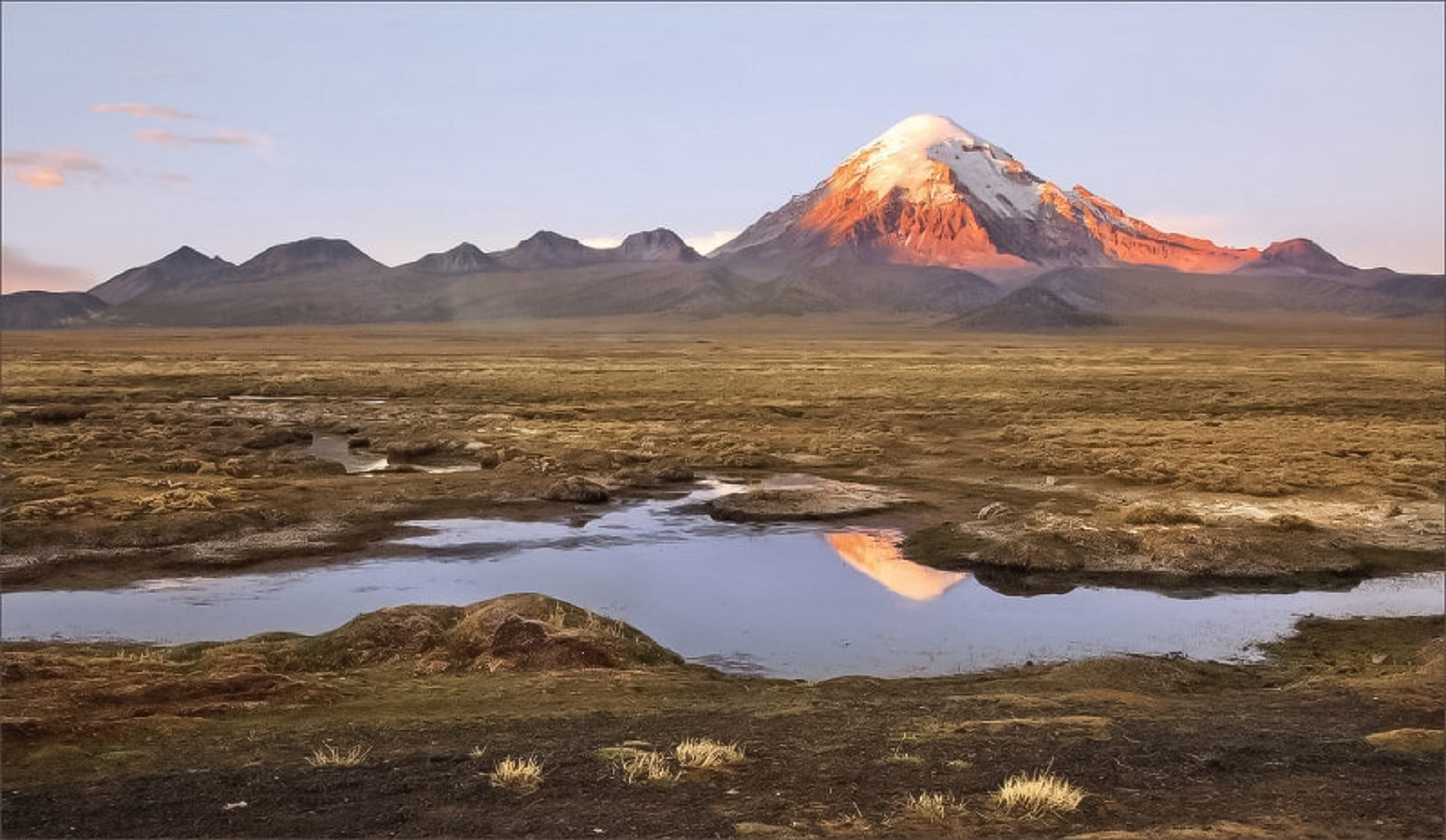 Онлайн-выставка «Таинственный край Земли» в Дарвиновском музее – события на сайте «Московские Сезоны»