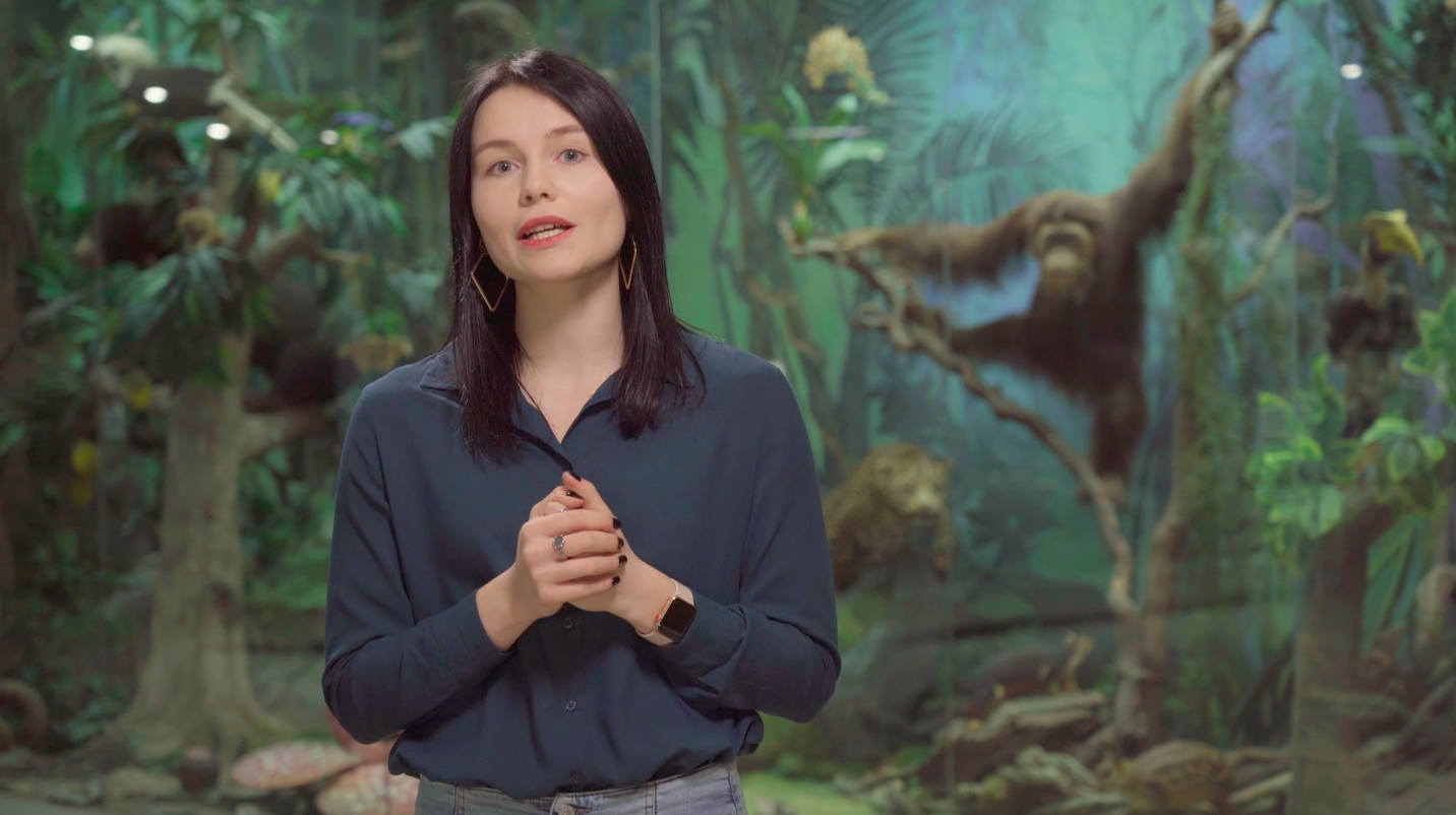 Видеоэкскурсии по московским музеям – события на сайте «Московские Сезоны»