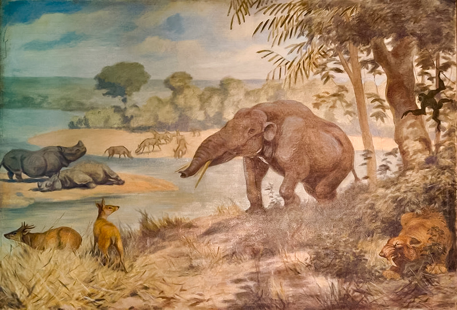 Виртуальная выставка «Изменение климата — взгляд из прошлого» в Государственном Дарвиновском музее – события на сайте «Московские Сезоны»