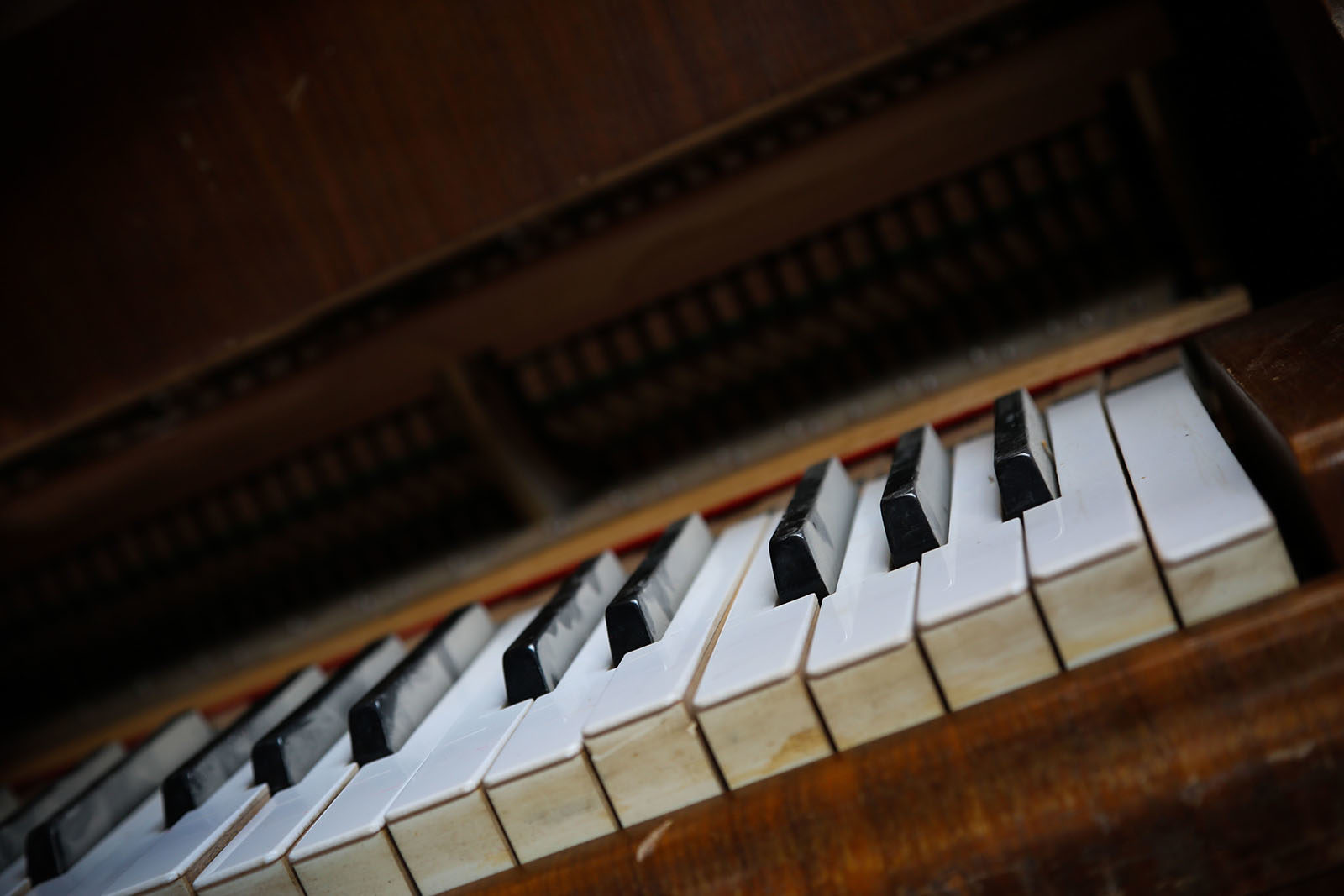 Концерт «Viva Italia» в Москонцерте на Пушечной – события на сайте «Московские Сезоны»