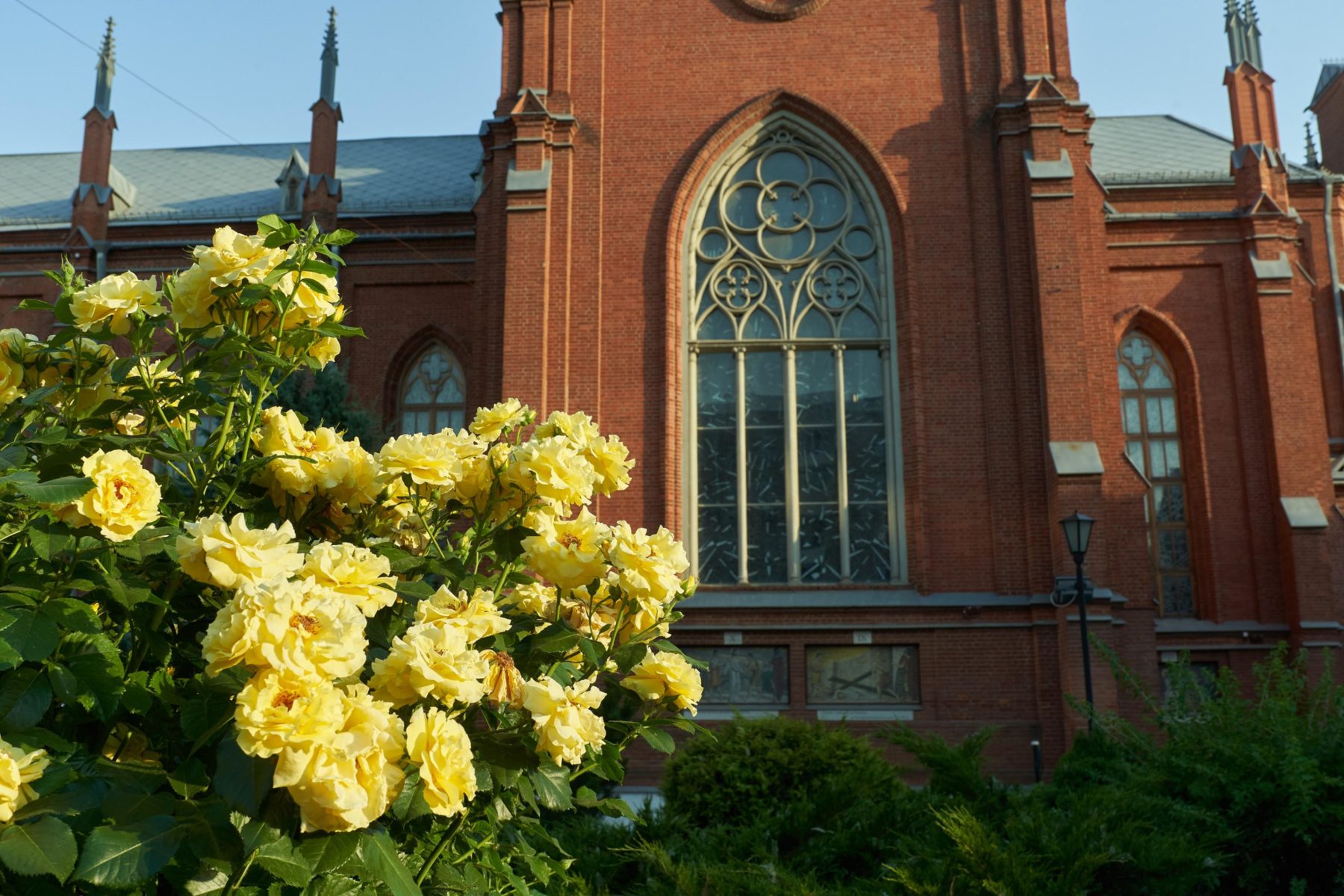 Концерт «И. С. Бах. Токкаты» в Римско-католическом кафедральном соборе  – события на сайте «Московские Сезоны»