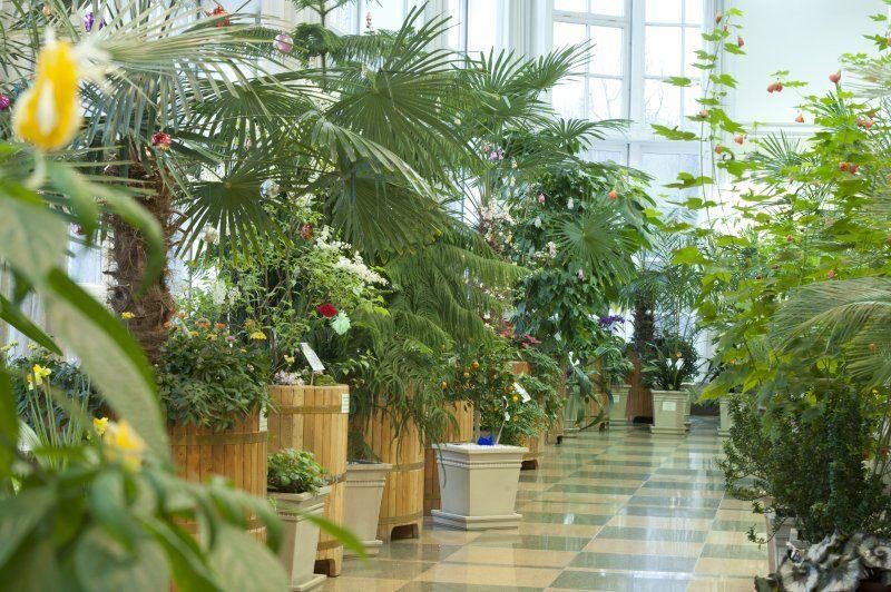 Экспозиции Дворцово-выставочного комплекса и оранжерей – события на сайте «Московские Сезоны»