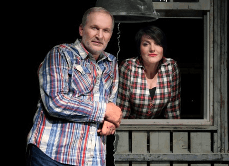 Спектакль «Забор» в ДК «Меридиан» – события на сайте «Московские Сезоны»