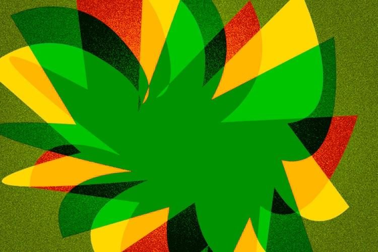 Мастер-класс «Экобукеты» в Культурном центре «Киевский» – события на сайте «Московские Сезоны»