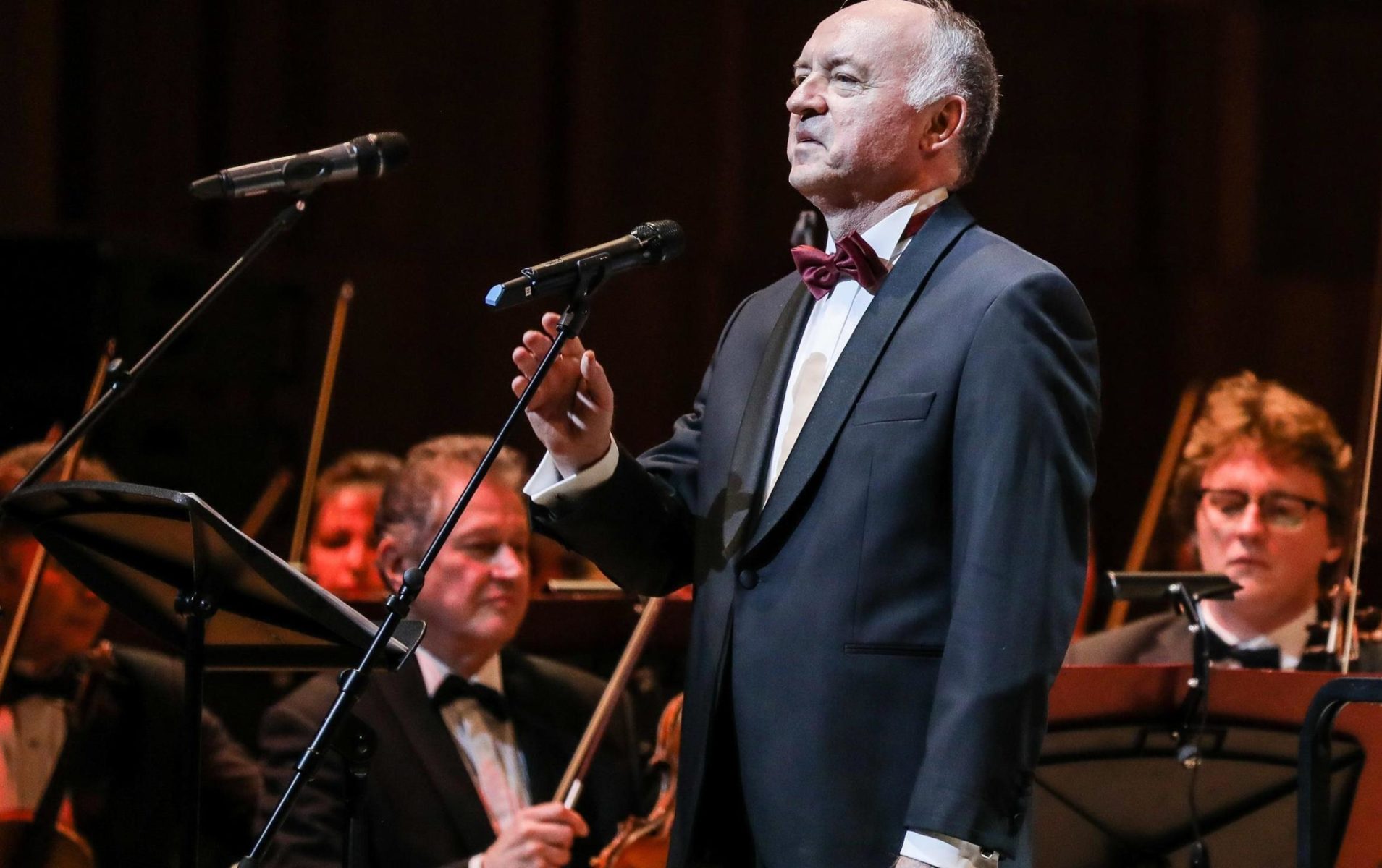 Киноконцерт «Ребятам о зверятах» в Зарядье  – события на сайте «Московские Сезоны»