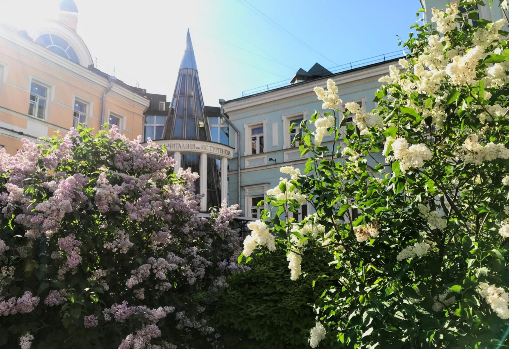 Лекция «Импрессионизм. Великий Моне. Путеводитель по искусству» в Библиотеке-читальне им. И. С. Тургенева  – события на сайте «Московские Сезоны»