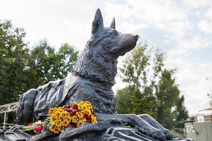 Праздник «День фронтовой собаки» в Музее Победы   – события на сайте «Московские Сезоны»