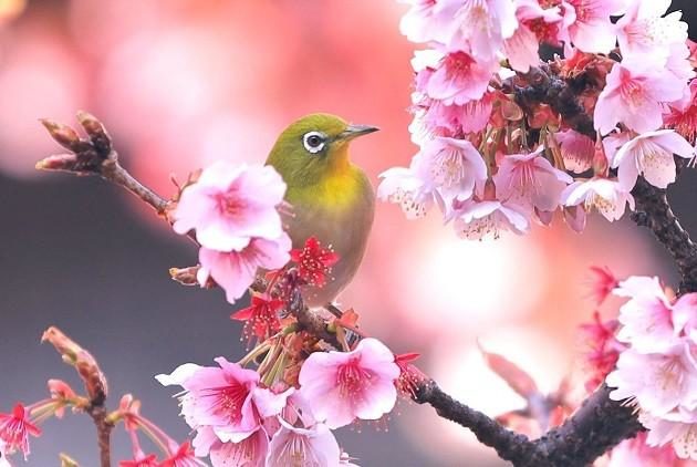 Мастер-класс по масляной живописи «Раннее утро» в ДК «Михайловское» – события на сайте «Московские Сезоны»