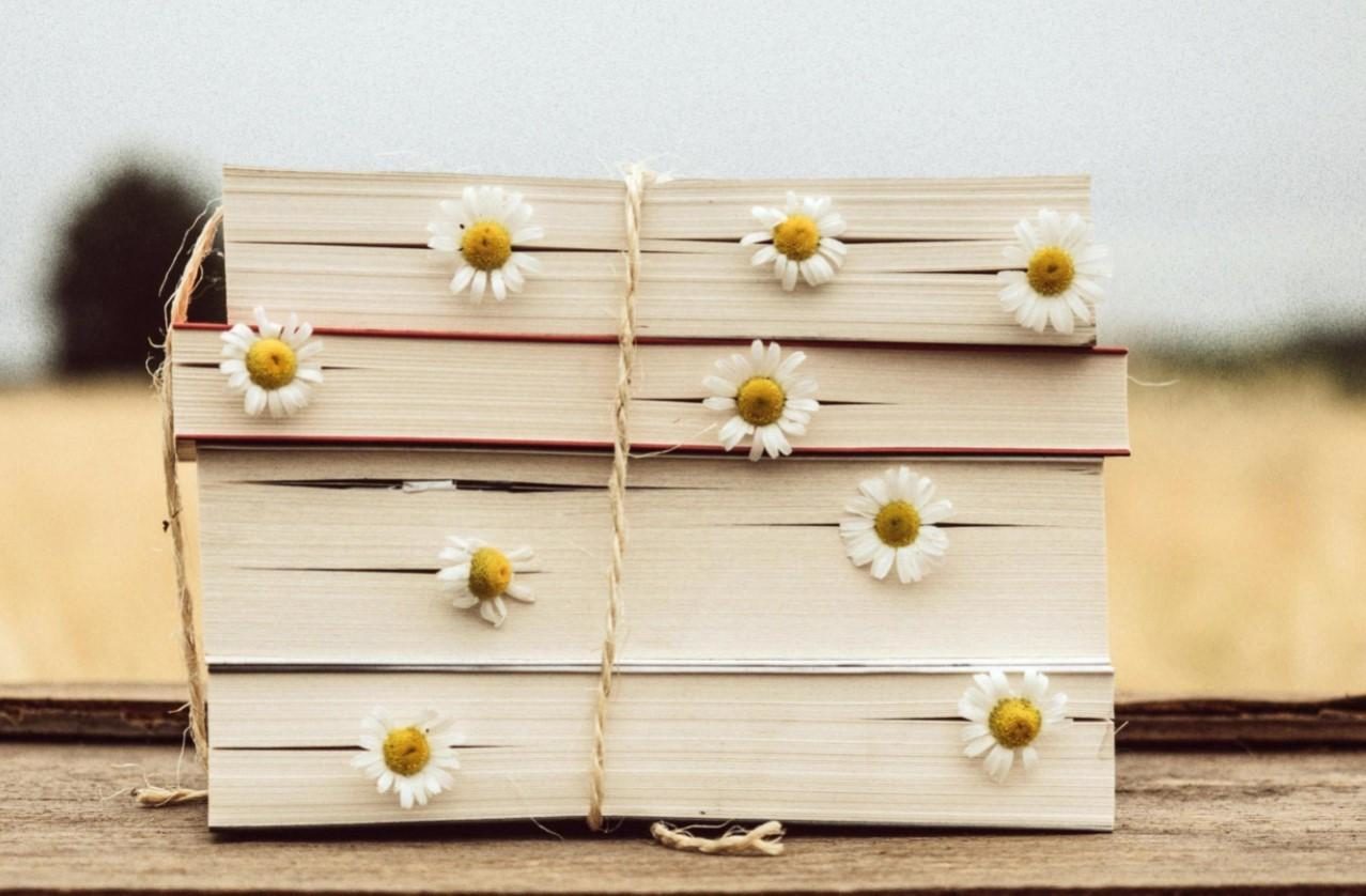 Лекция «Загадки русского языка» в ДК «Алые паруса» – события на сайте «Московские Сезоны»