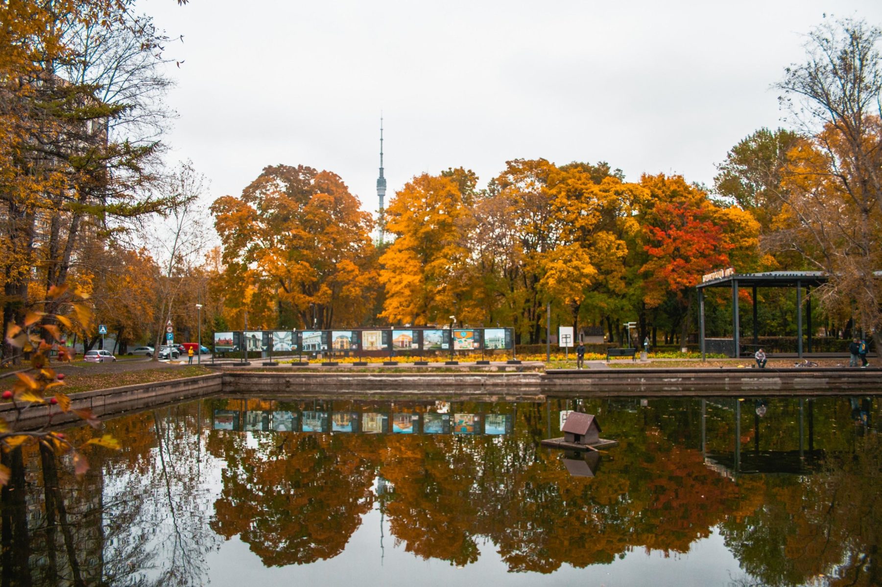 Гончаровский парк фото