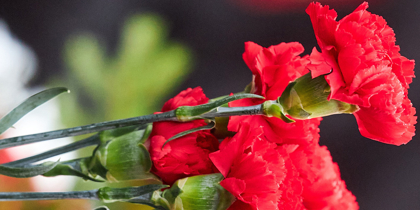 День Победы в Новокосине – события на сайте «Московские Сезоны»