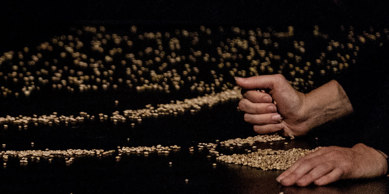 Поэтическая притча «Зерна» – события на сайте «Московские Сезоны»