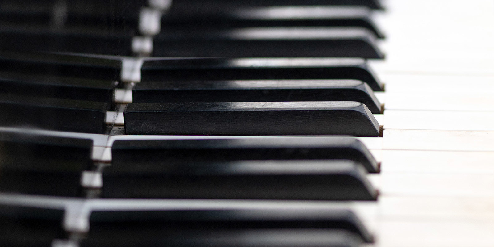 Вечер популярной классической музыки в библиотеке искусств имени А.П. Боголюбова – события на сайте «Московские Сезоны»