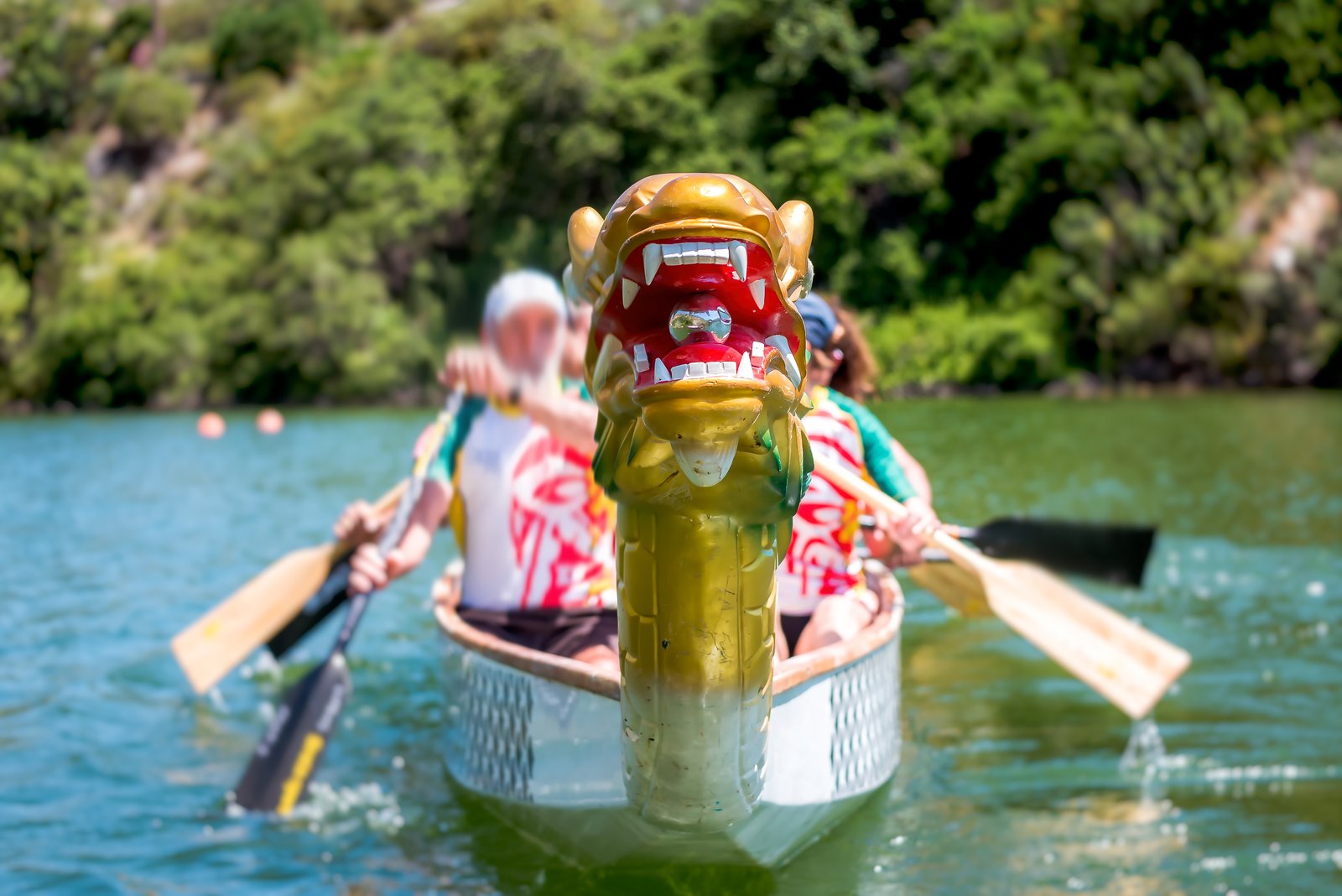 Гребля на драгонбортах «Рыбной недели в Москве»: регистрация и правила участия – события на сайте «Московские Сезоны»