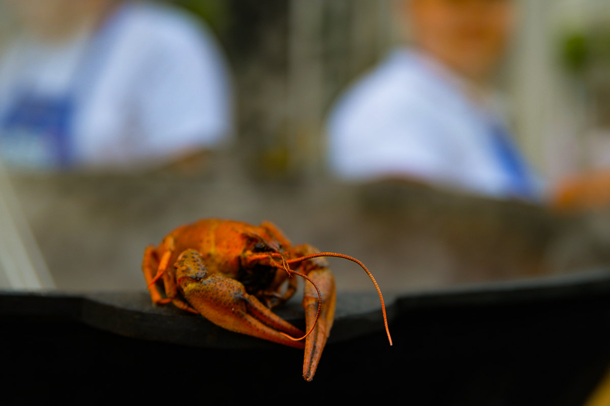 Мастер-классы от шеф-повара, оригами и живописаня мастерская в Теплом стане – события на сайте «Московские Сезоны»