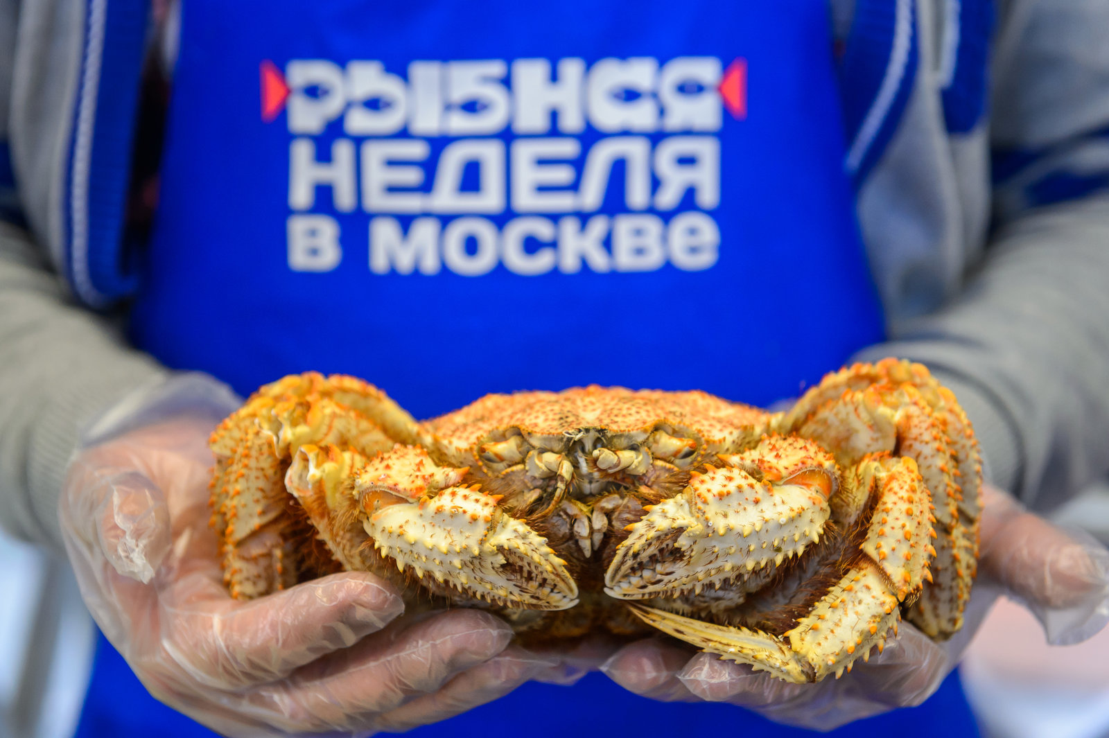 Кулинарные и танцевальные мастер-классы, живописная мастерская и лекции в Куркино – события на сайте «Московские Сезоны»