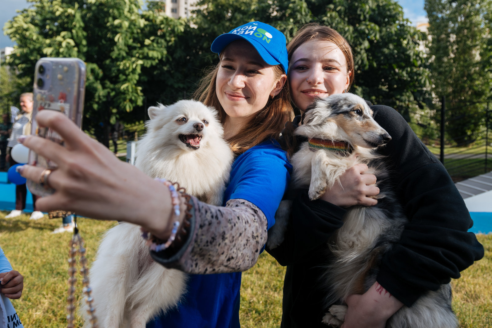 Открытие современной площадки для выгула собак в Ново-Переделкино – события на сайте «Московские Сезоны»