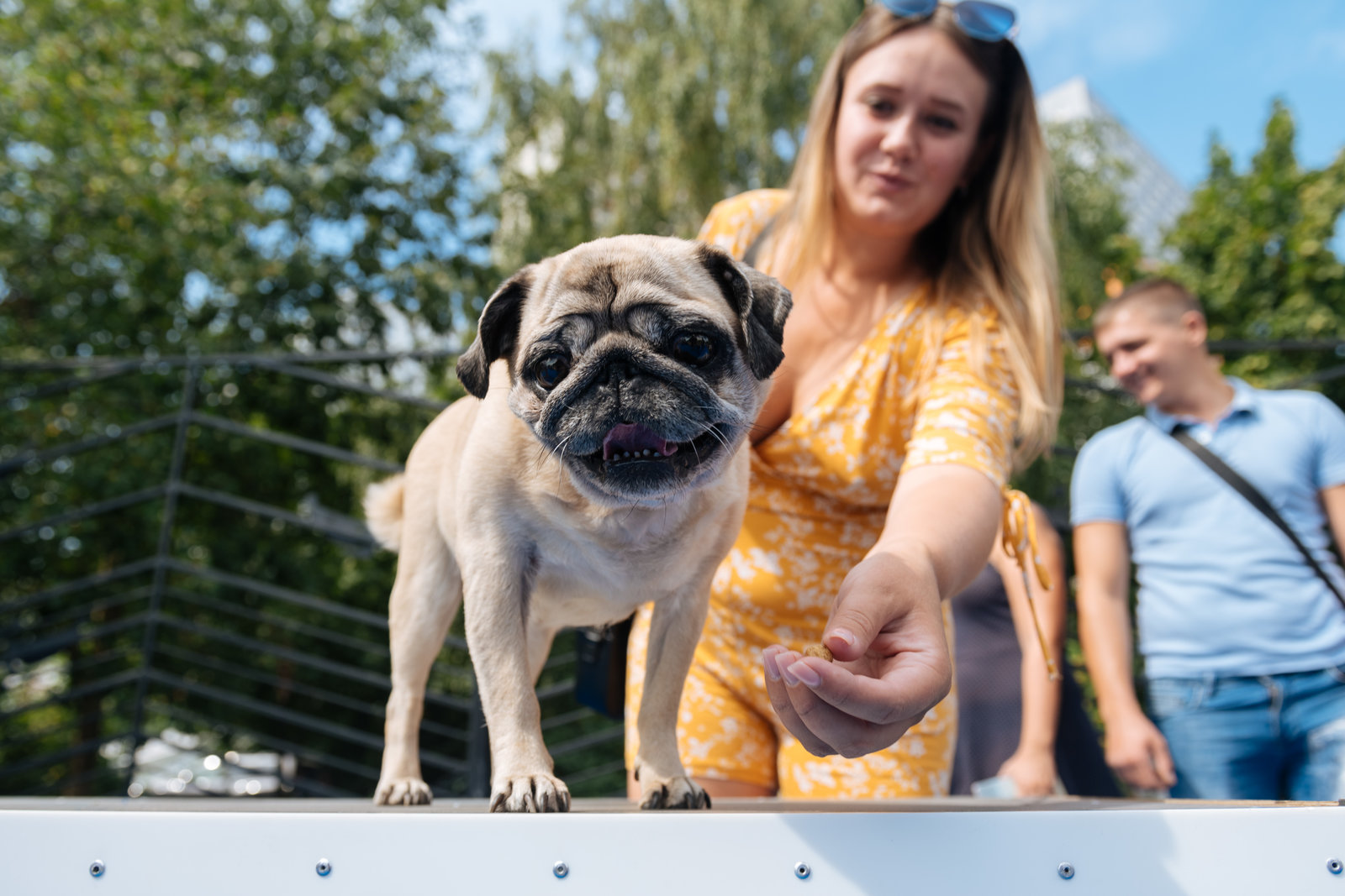 Московские сезоны карта площадок