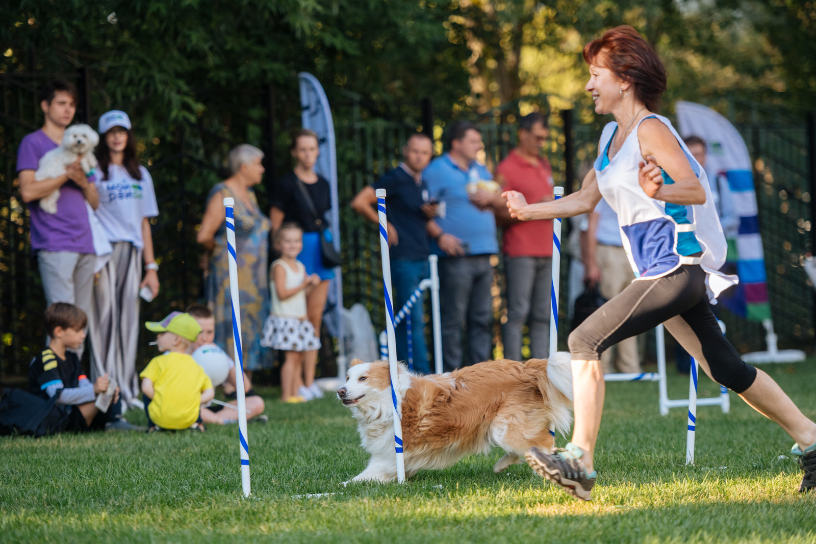 Открытие современной площадки для выгула собак в Чертаново Северном – события на сайте «Московские Сезоны»