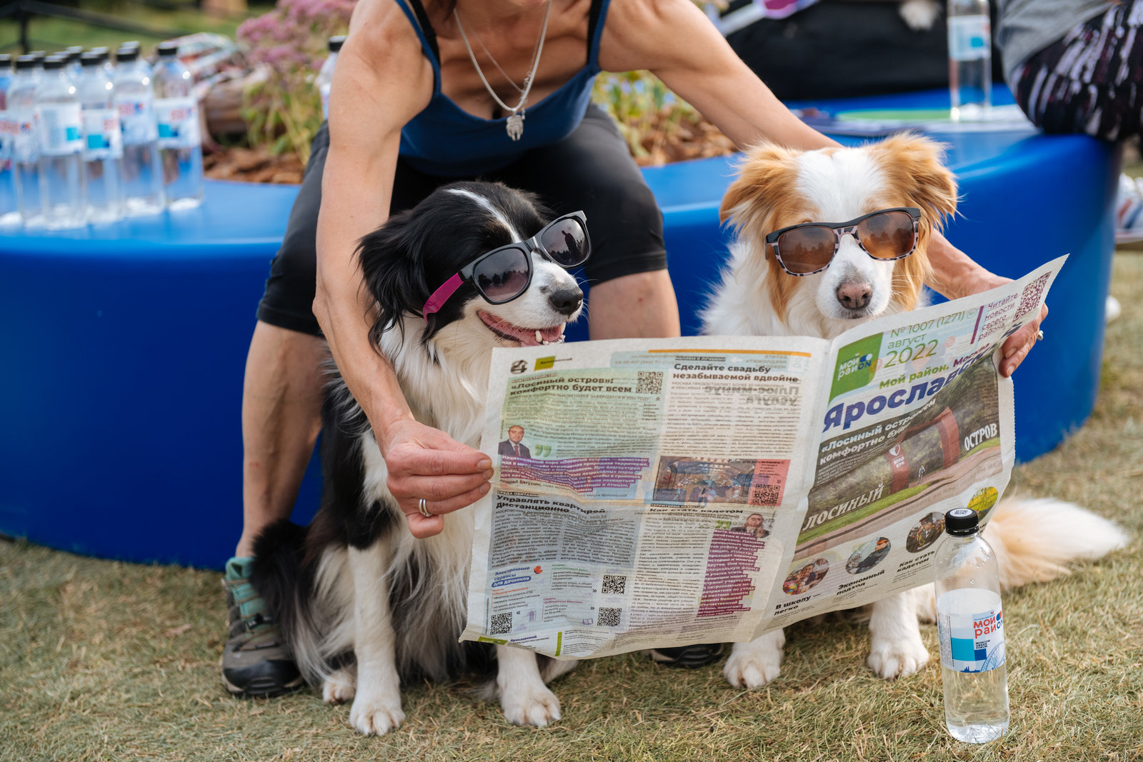 Открытие современной площадки для выгула собак в Парке 850-летия Москвы – события на сайте «Московские Сезоны»