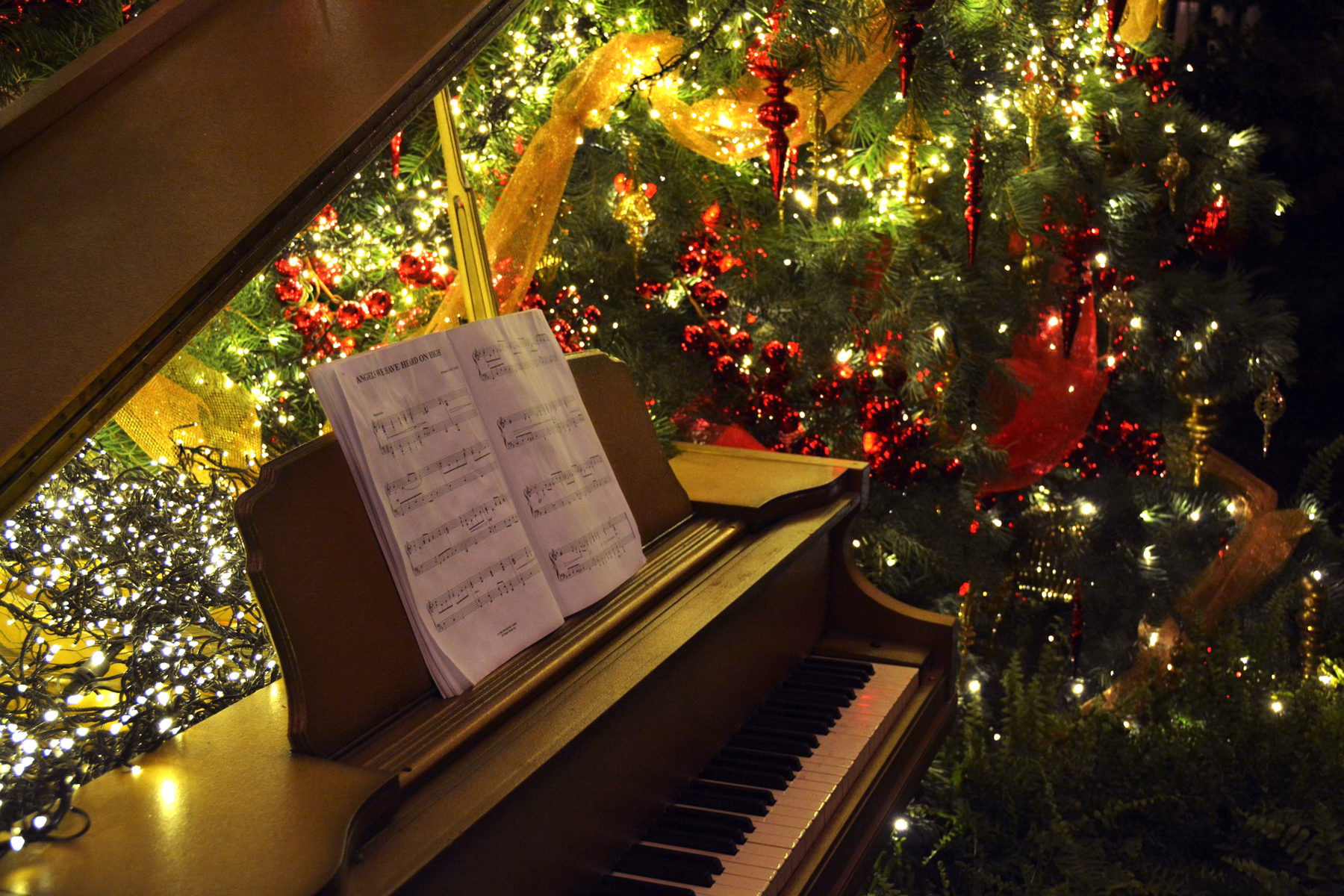 «Вечер романтической музыки» в библиотеке искусств имени А.П. Боголюбова – события на сайте «Московские Сезоны»