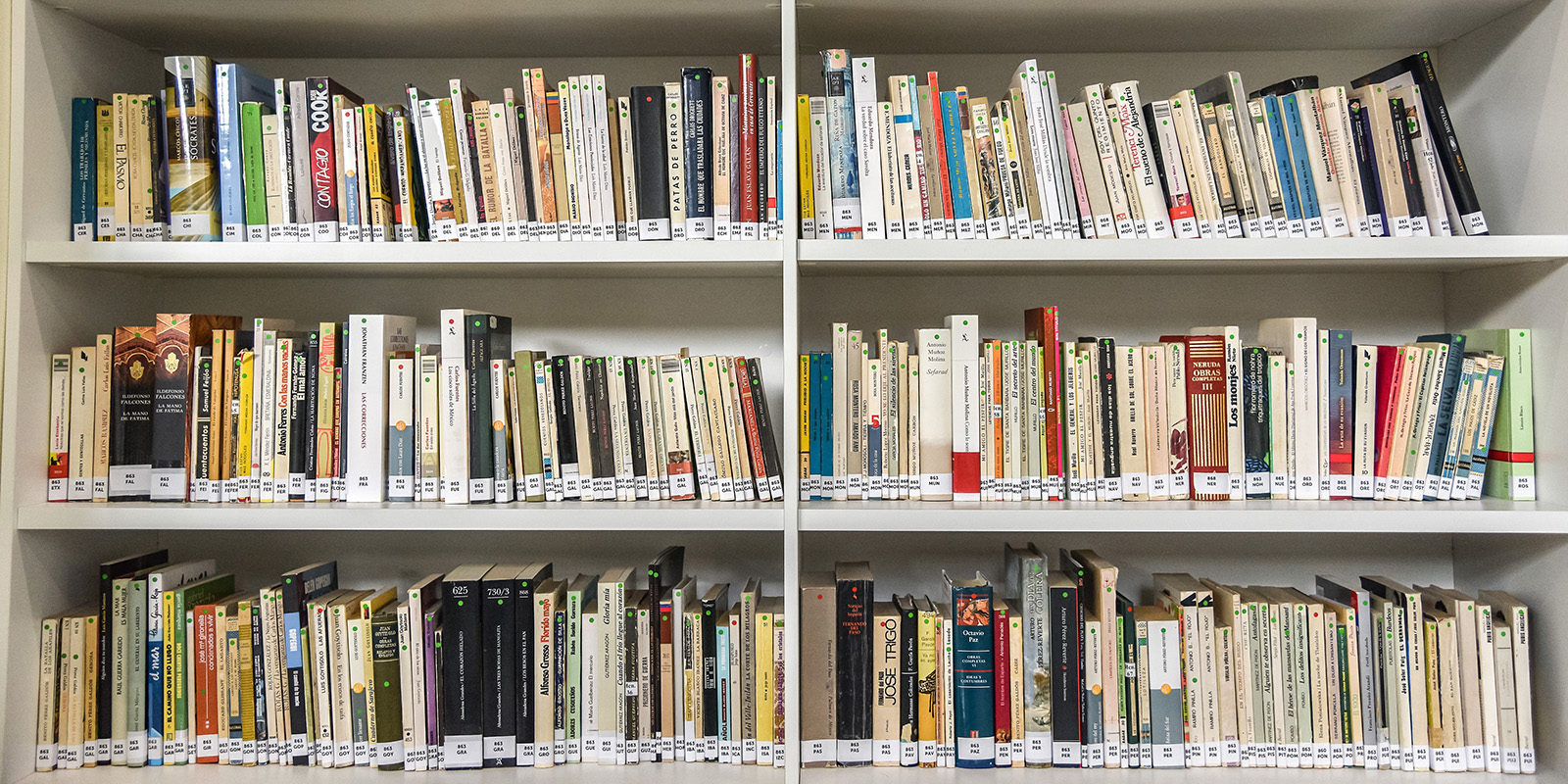 «Любовь и бессмертие» в библиотеке № 94 – события на сайте «Московские Сезоны»