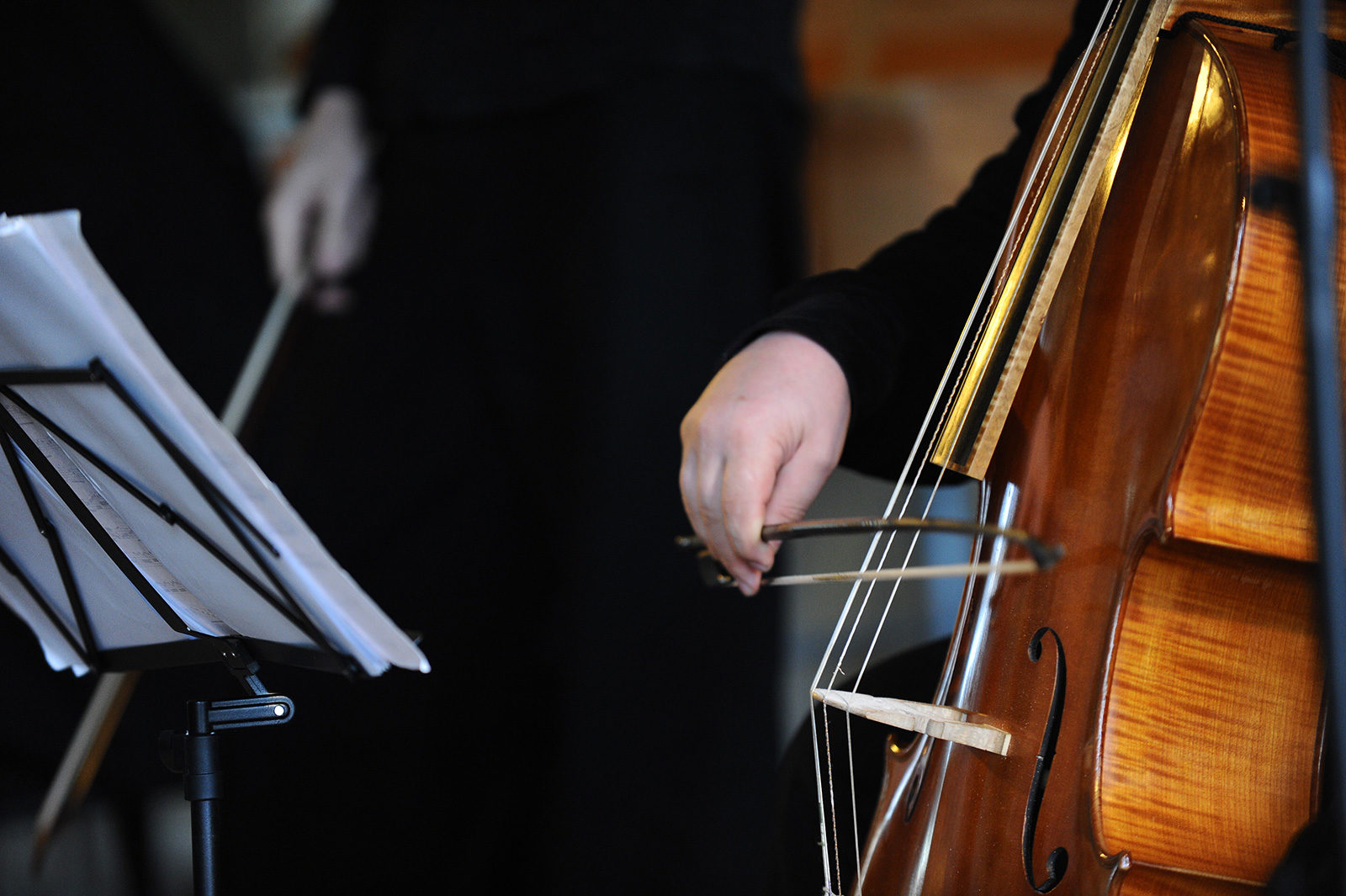 «Арфа и виолончель» в библиотеке искусств имени А.П. Боголюбова – события на сайте «Московские Сезоны»