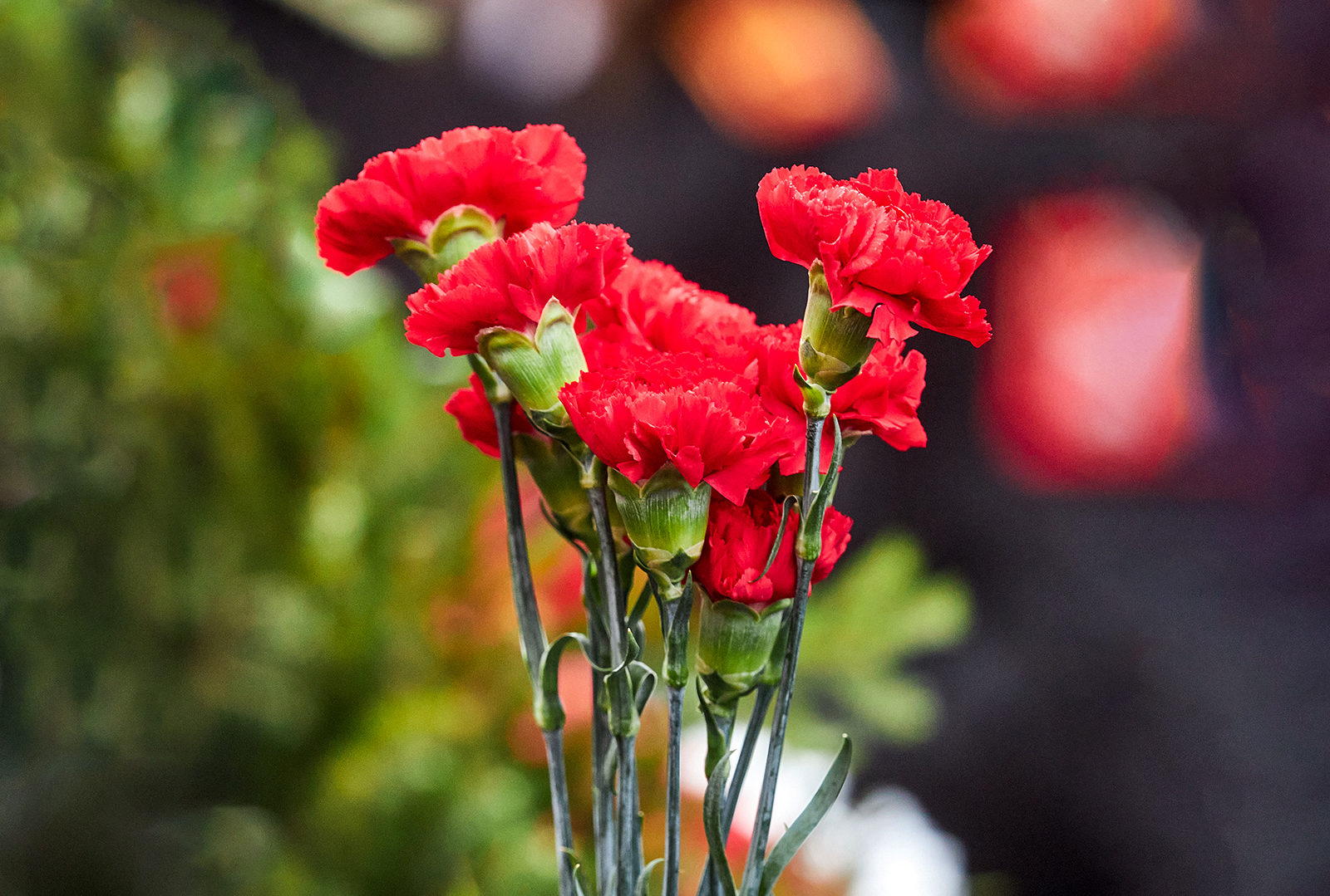 «Имею честь служить тебе, Россия!» в библиотеке № 241 – события на сайте «Московские Сезоны»