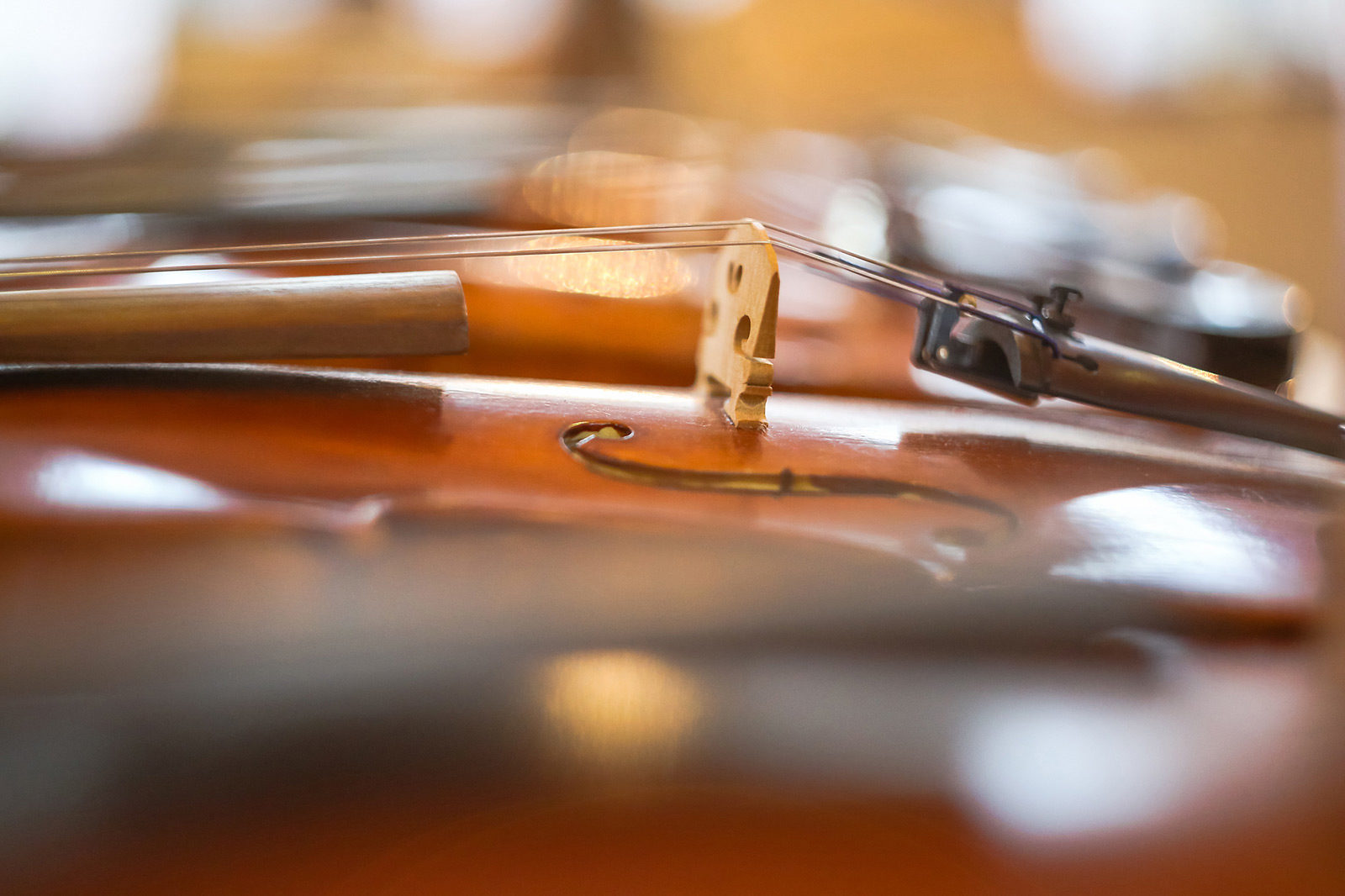 Концерт скрипичной музыки в Доме А.Ф. Лосева – события на сайте «Московские Сезоны»