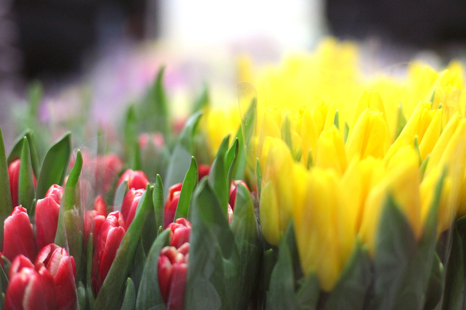 «Дом, в котором тебя ждут» в Центральной детской библиотеке № 226 – события на сайте «Московские Сезоны»