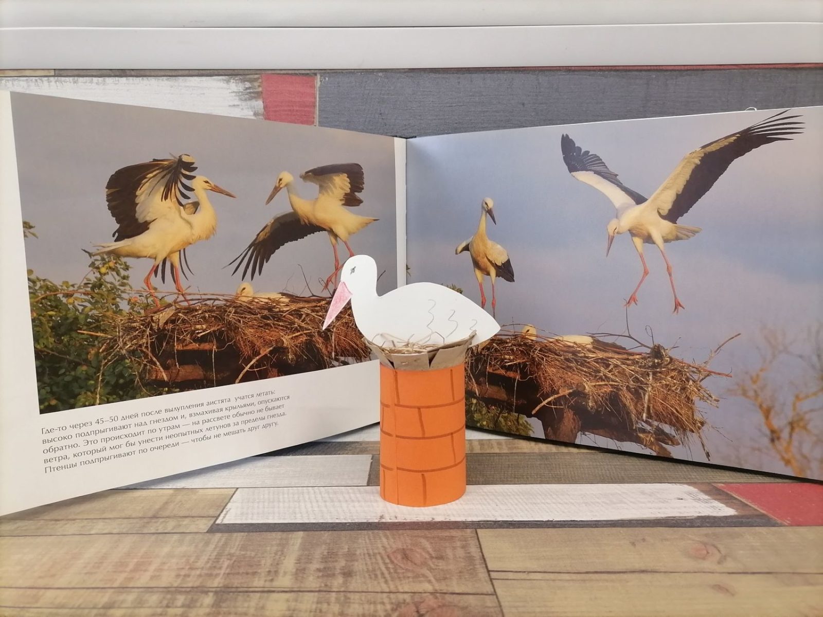 «Посланец неба» в Центральной детской библиотеке № 1 имени А.С. Грибоедова – события на сайте «Московские Сезоны»