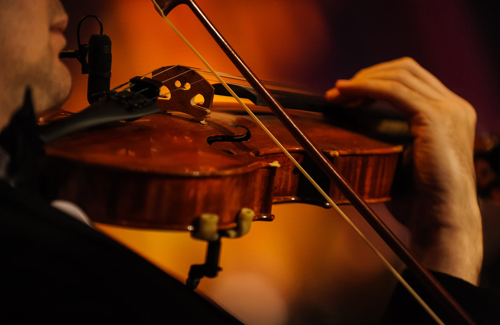 Концерт скрипичной музыки в библиотеке искусств имени А.П. Боголюбова – события на сайте «Московские Сезоны»