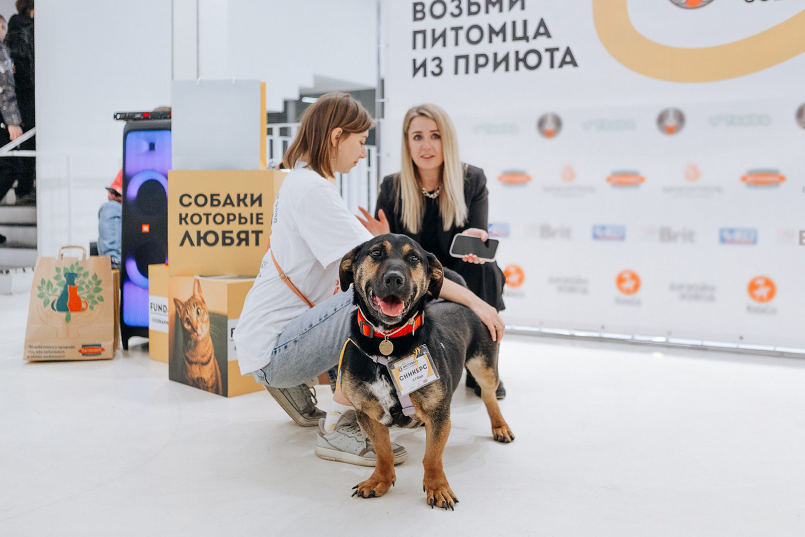 «Собаки, которые любят» в культурном центре «Хлебозавод» – события на сайте «Московские Сезоны»