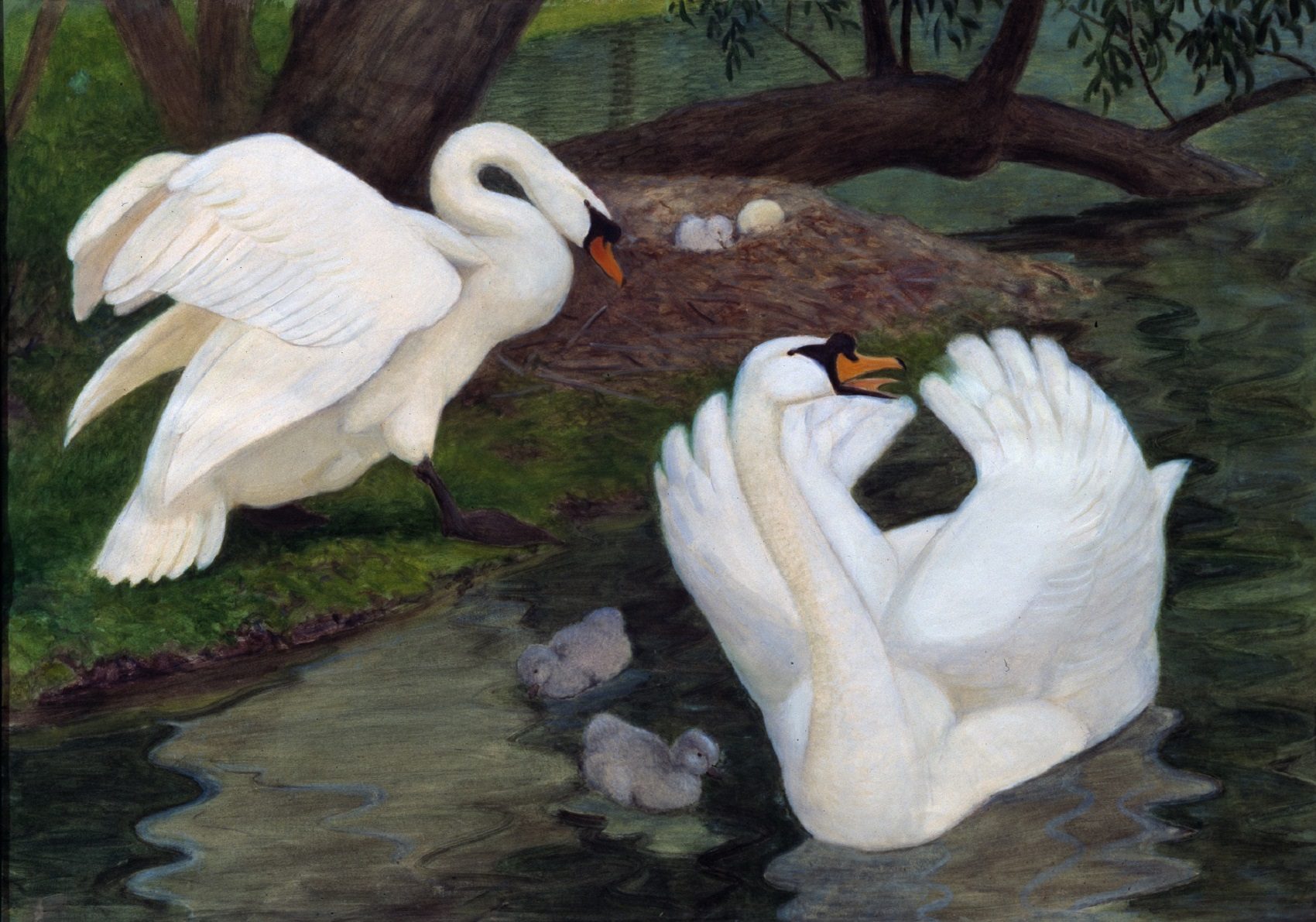 «Такие разные гусеобразные» в Дарвиновском музее – события на сайте «Московские Сезоны»