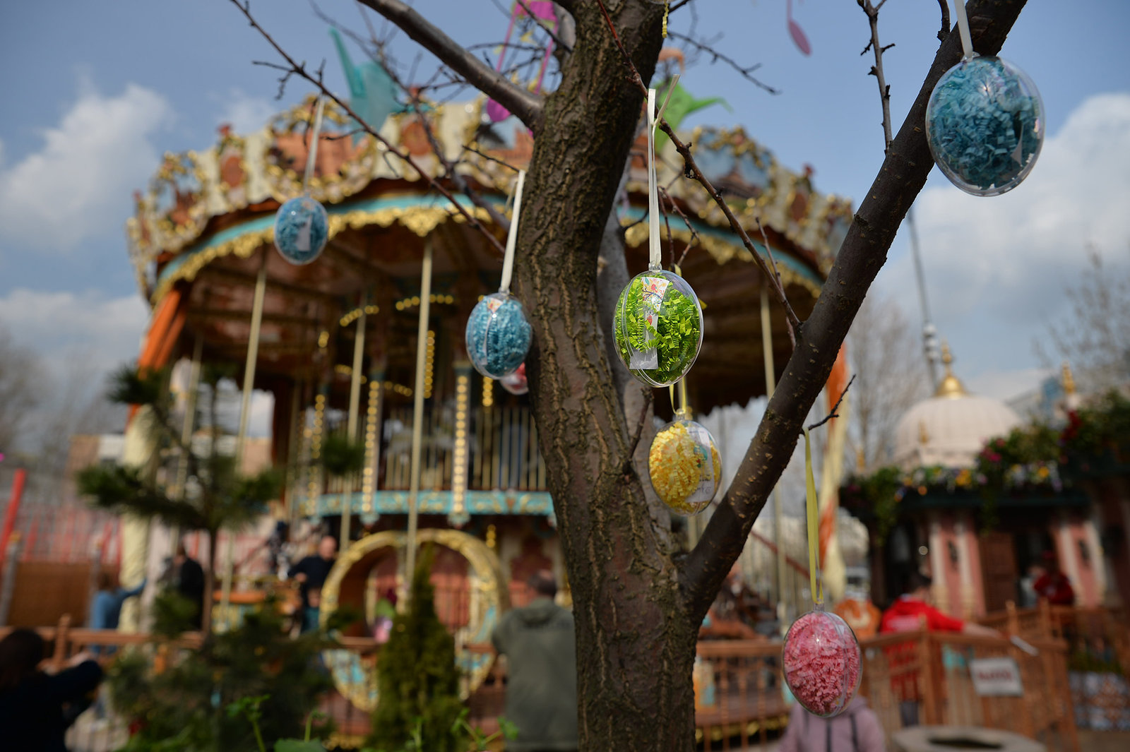 Ботанические классы, программа фонда «Женщины за жизнь» и шоу на офирах в Отрадном – события на сайте «Московские Сезоны»