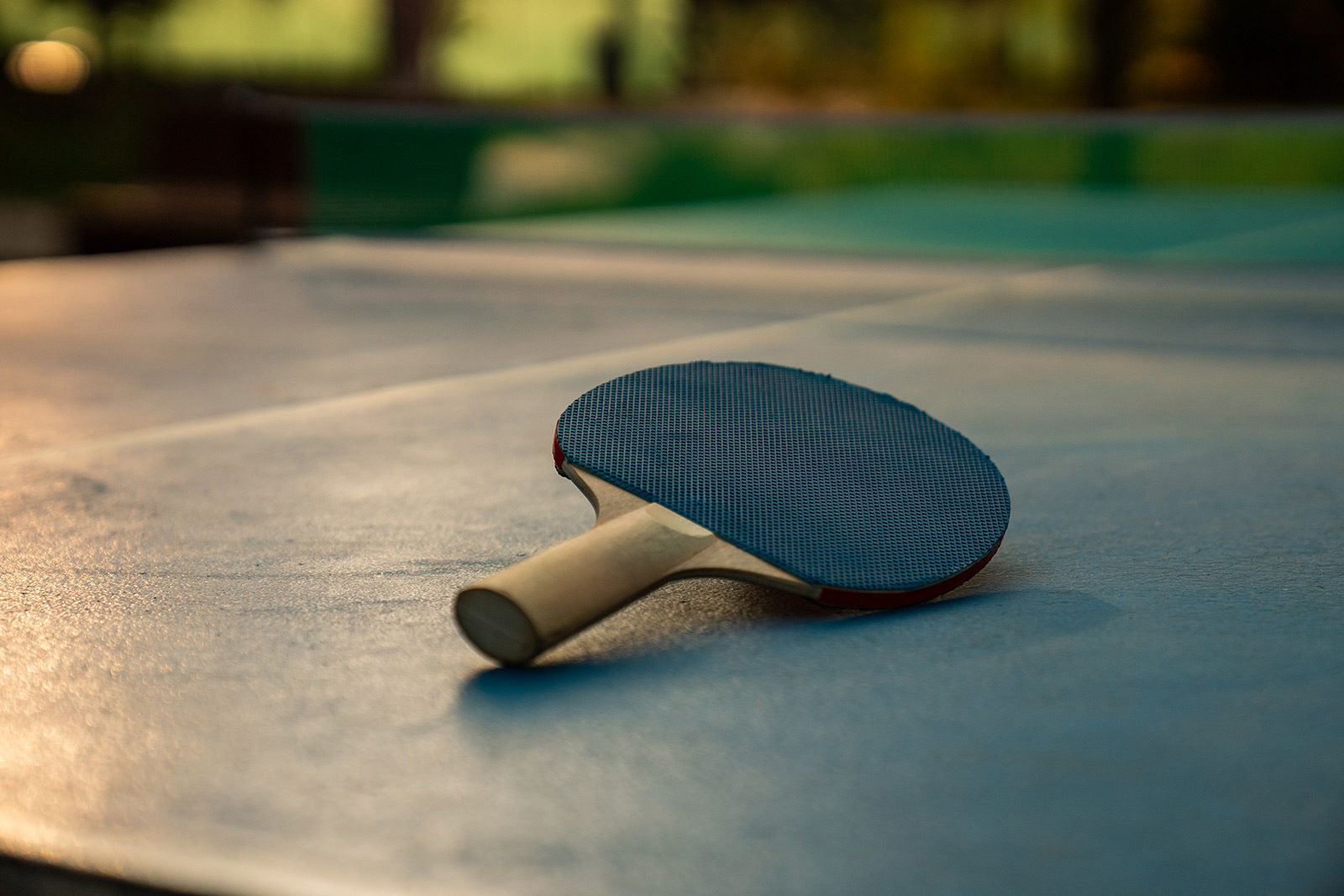 Турнир по настольному теннису в парке «Северное Тушино» – события на сайте «Московские Сезоны»