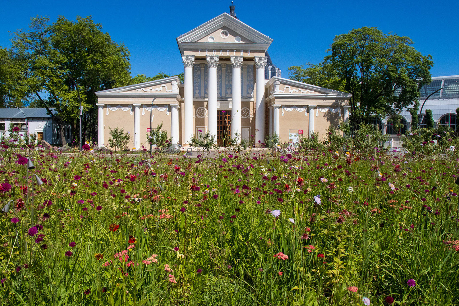 «12 признаков живого» в павильоне № 31 «Геология» на ВДНХ – события на сайте «Московские Сезоны»