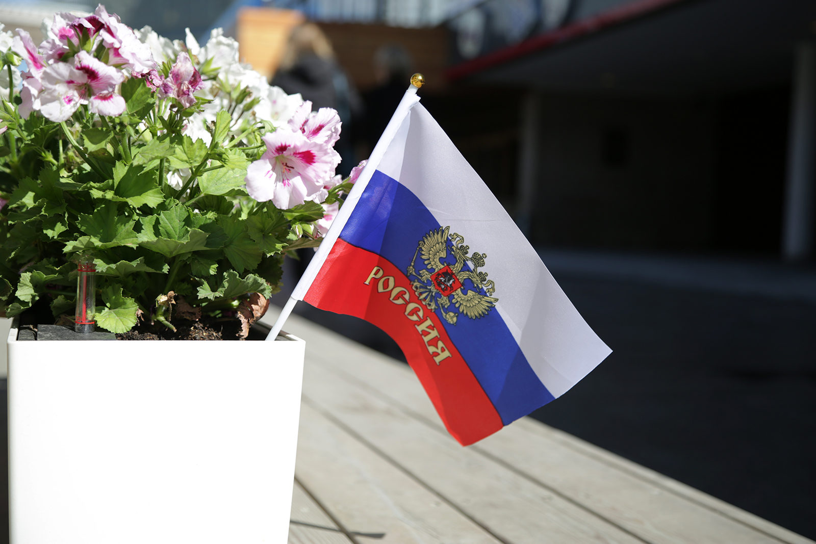 «Многоликая Россия» в библиотеке № 241 – события на сайте «Московские Сезоны»