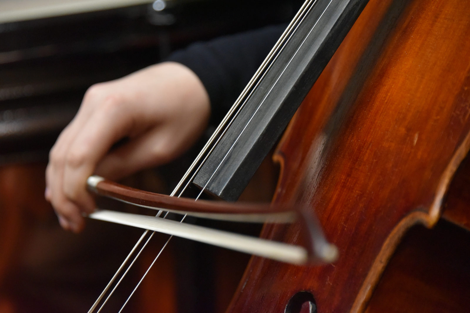 «Образы природы в музыке» в библиотеке № 186 имени С.А. Есенина – события на сайте «Московские Сезоны»