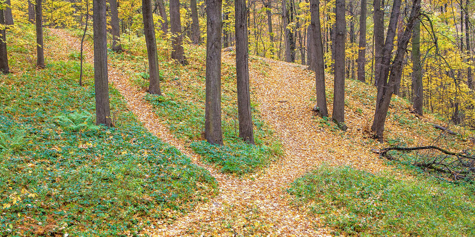 «Кунцевское городище» в парке культуры и отдыха «Фили» – события на сайте «Московские Сезоны»