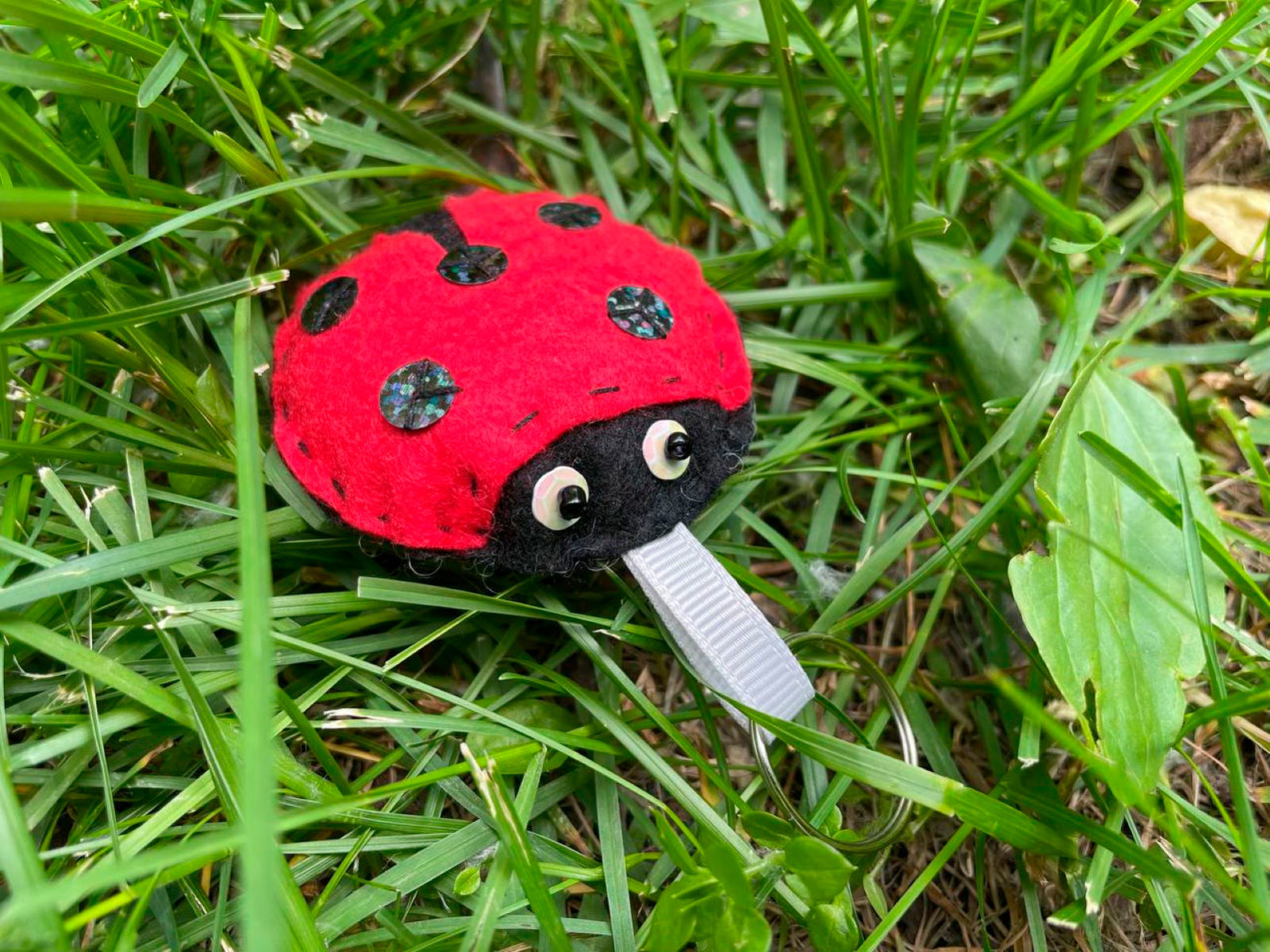 «Украшение из фетра» в культурном центре «Содружество» – события на сайте «Московские Сезоны»