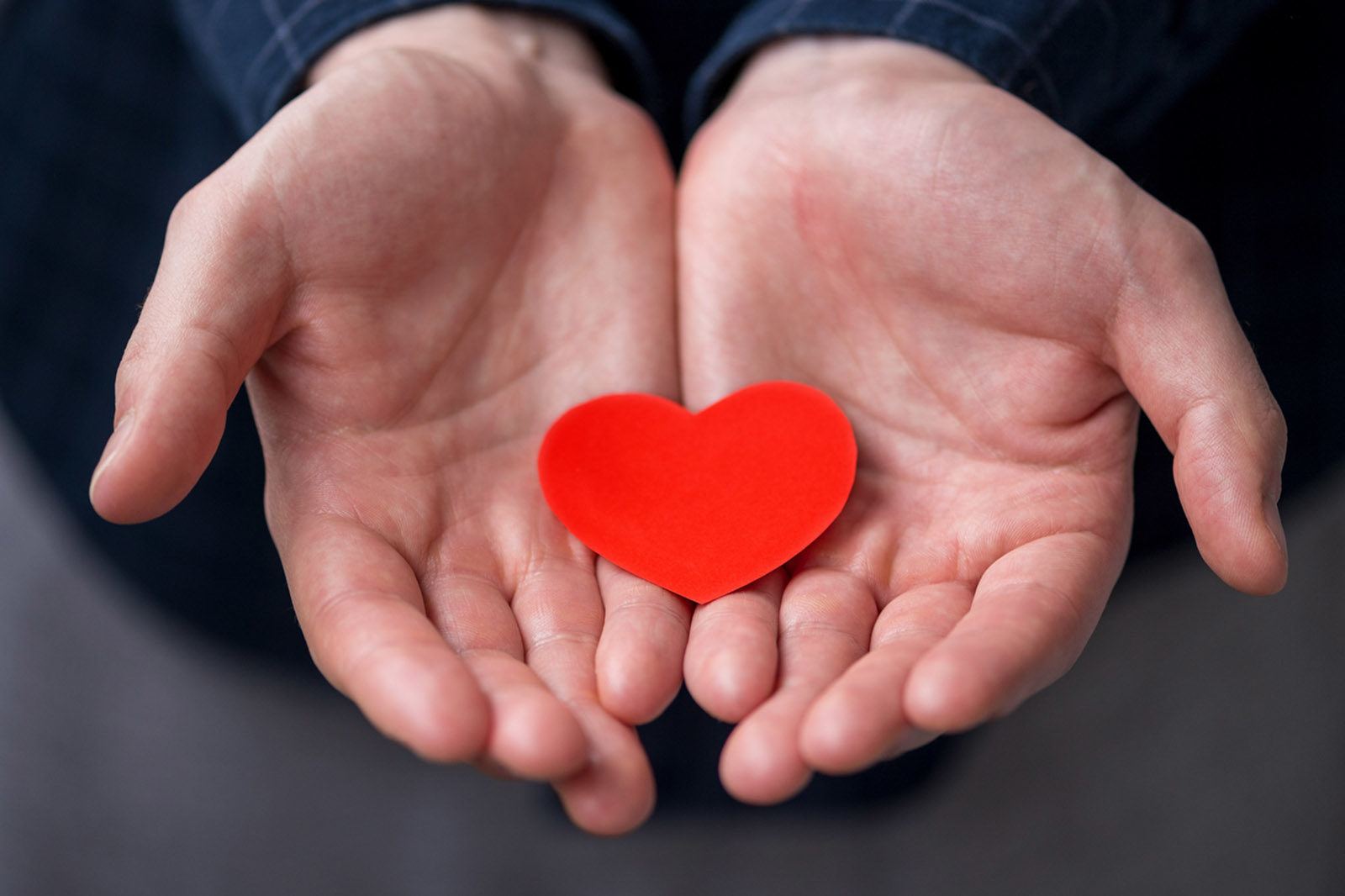 «Любит не любит…» в библиотеке № 172 – события на сайте «Московские Сезоны»