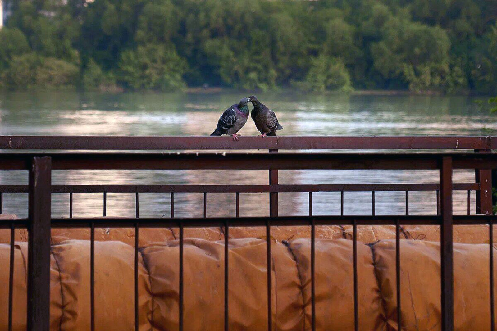 «Прощай» в Центре драматургии и режиссуры – события на сайте «Московские Сезоны»