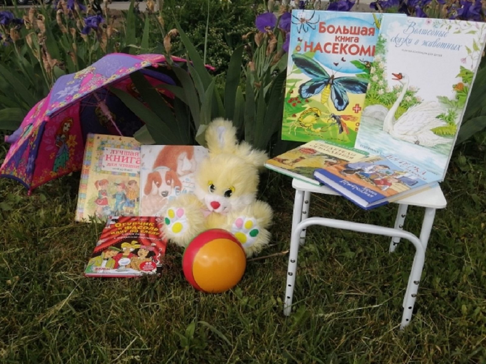 «Почитайка на лужайке» в библиотеке № 189 «Патриот» – события на сайте «Московские Сезоны»