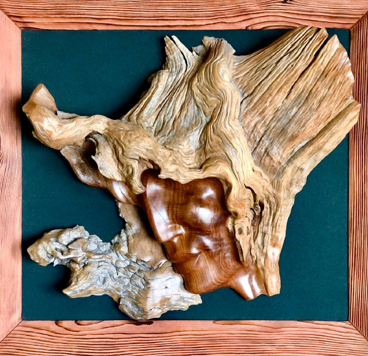 «Вторая жизнь дерева в природной пластике образов» в Дарвиновском музее – события на сайте «Московские Сезоны»