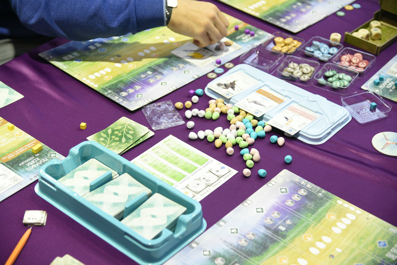 Nice dice в Центральной библиотеке № 190 – события на сайте «Московские Сезоны»