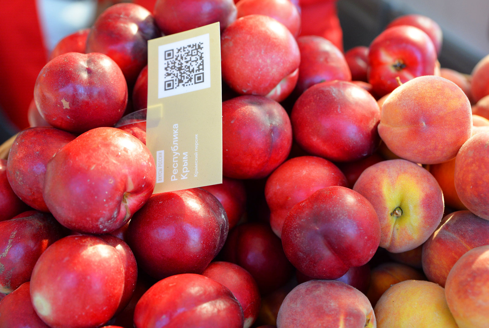 Студия живописи и кулинарные мастер-классы в Зеленограде  – события на сайте «Московские Сезоны»